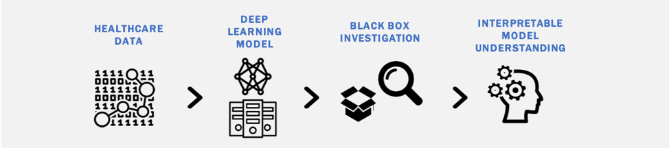 Interpretability Diagram